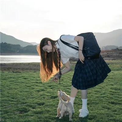 野兔邦妮